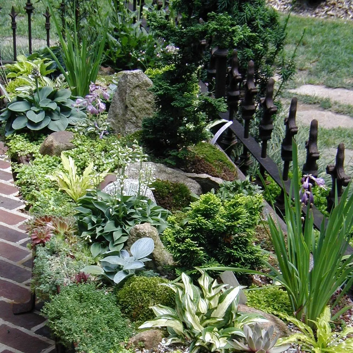 Pineforestgardens