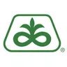 pioneer logo