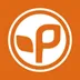 Pistil Designs logo
