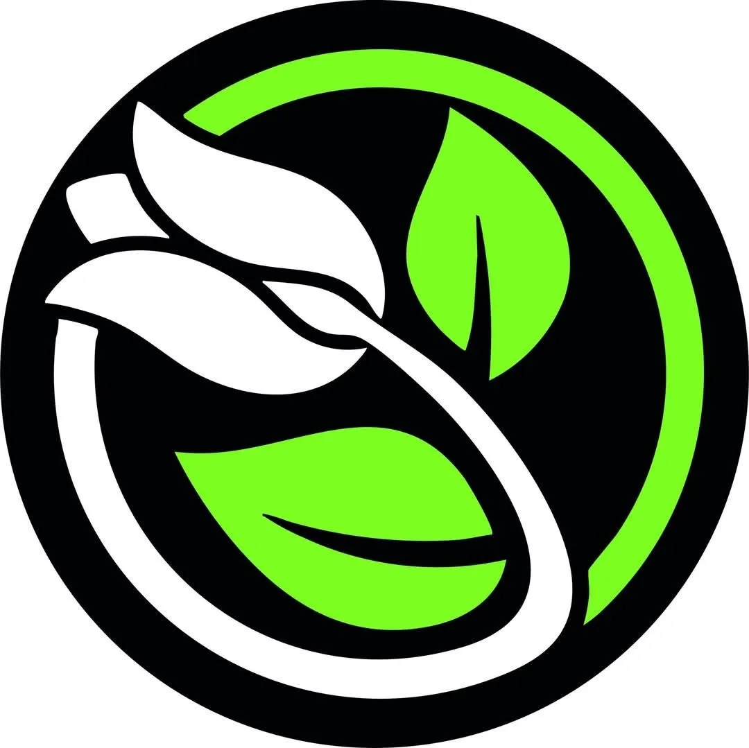 Plant-world-seeds