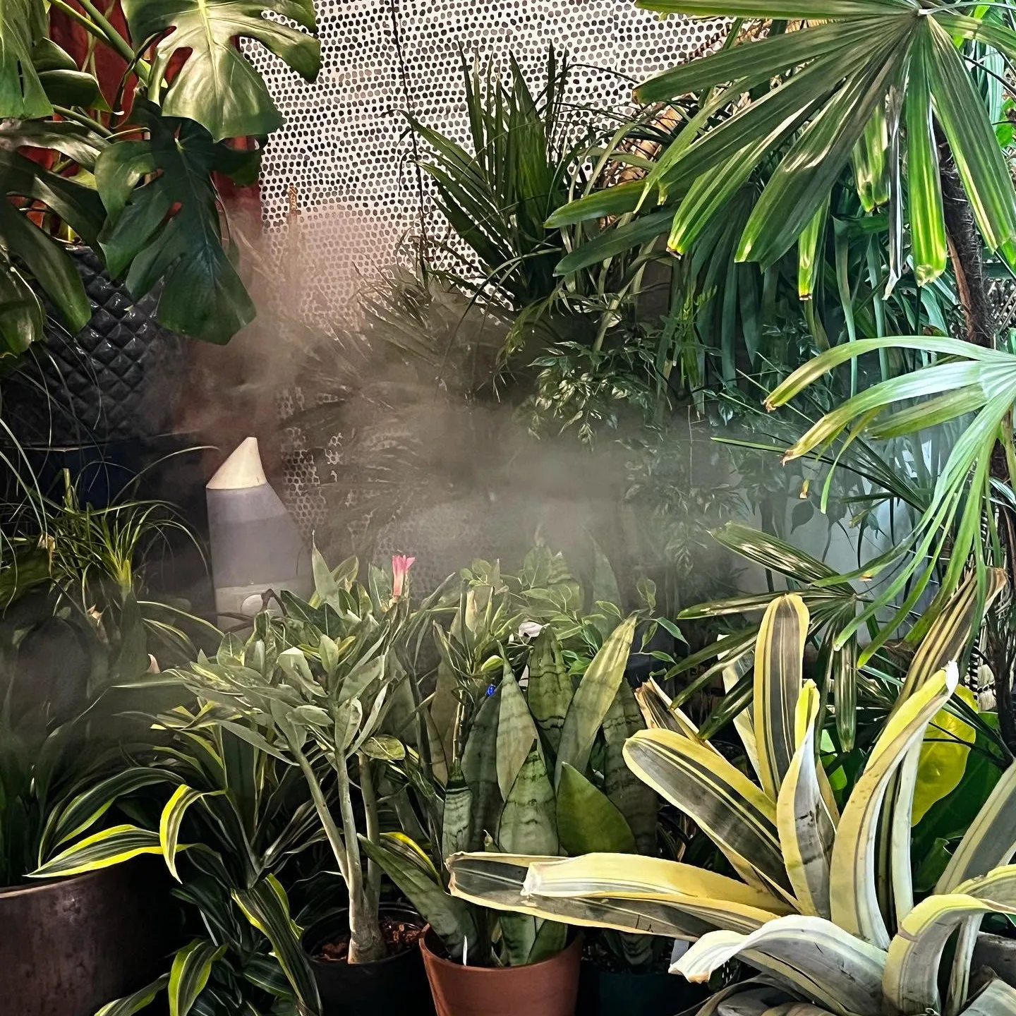 Plantandpeople