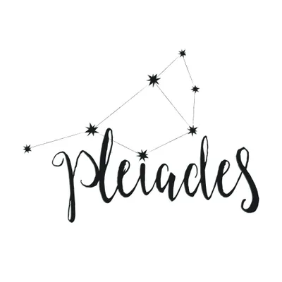 Pleiades Designs logo