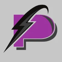PLESH ELECTRIC LLC logo