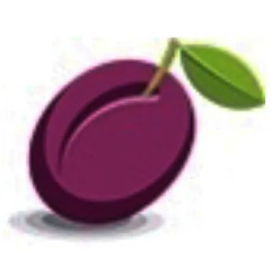 Plum Personnel logo