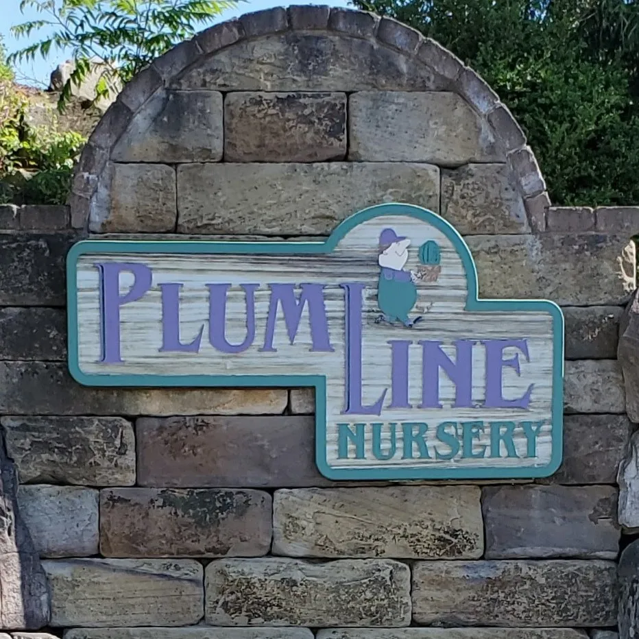 Plumlinenursery