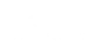 Plunge Chill light logo
