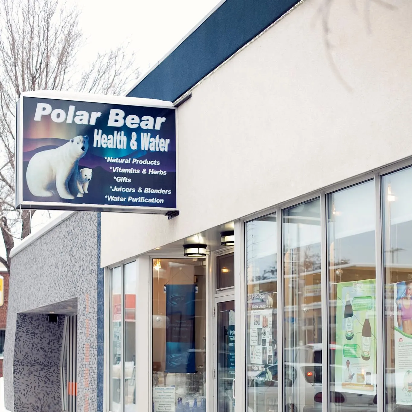 Polar Bear Health & Water