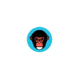 polarmonkeys.com logo