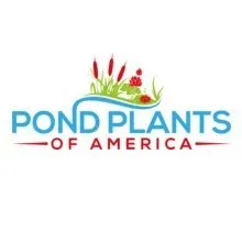 Pondplantsofamerica