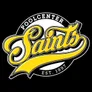 Logo Saints Poolcenter