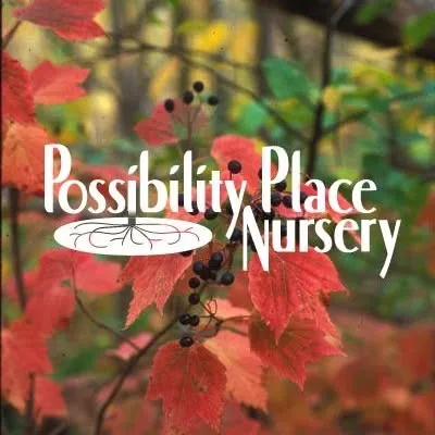 Possibilityplace