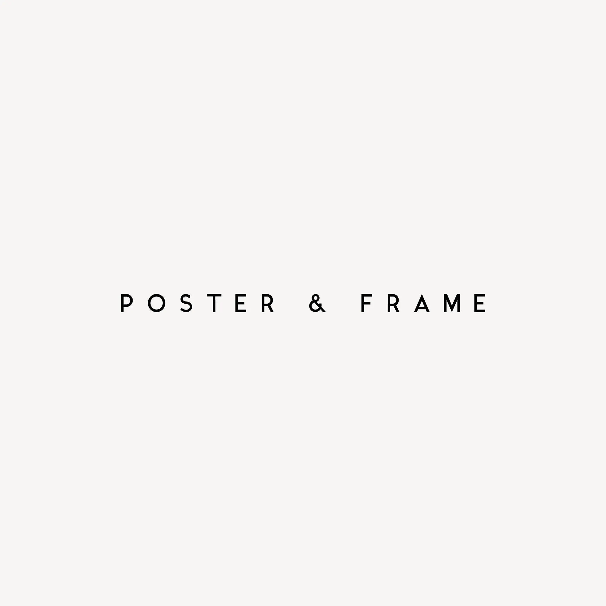 Posterandframe