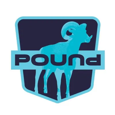 Pound Disc Golf logo