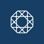 Logo Practical | Excellence in Finance