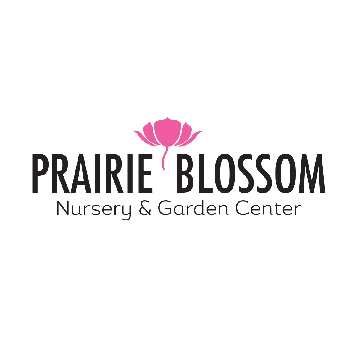 Prairieblossomnursery