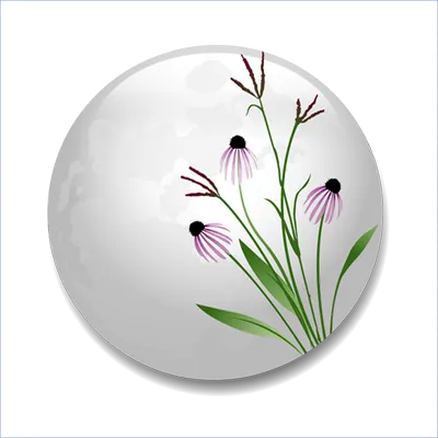 Prairie Moon Nursery