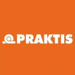 logo for praktis.bg from Brandfetch