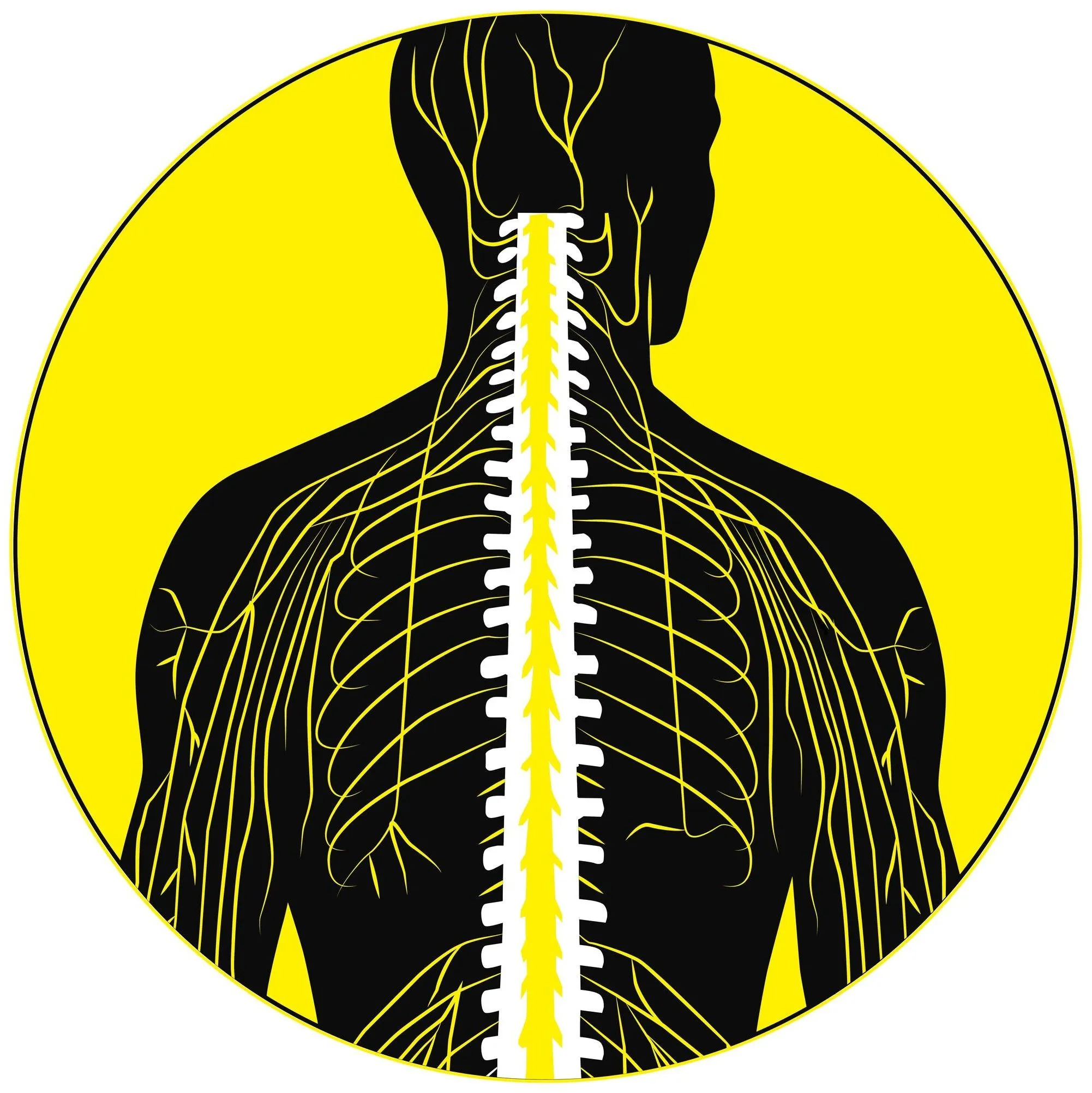 Olga Schlegel Praxis für Physiotherapie