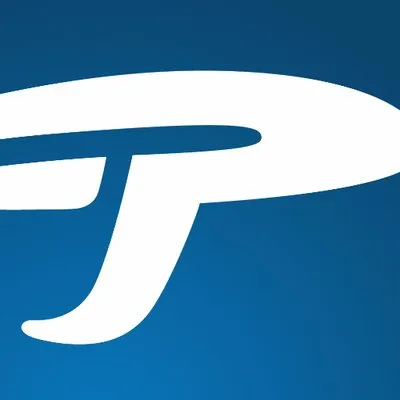 Precise Flight Inc logo