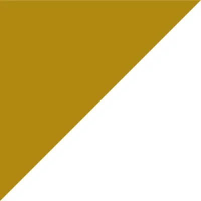 Precision for Medicine logo