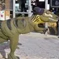Predatorsarchery