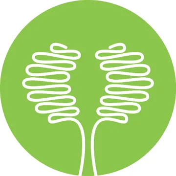 Prine Health Logo