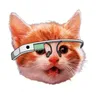 producthunt.com