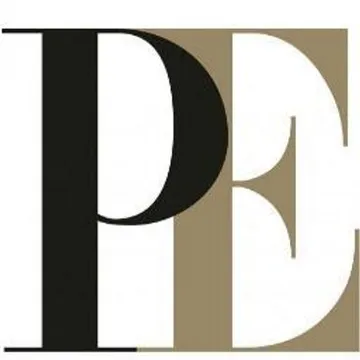 Professional Equities Logo