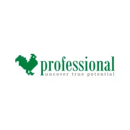 Professional Logo