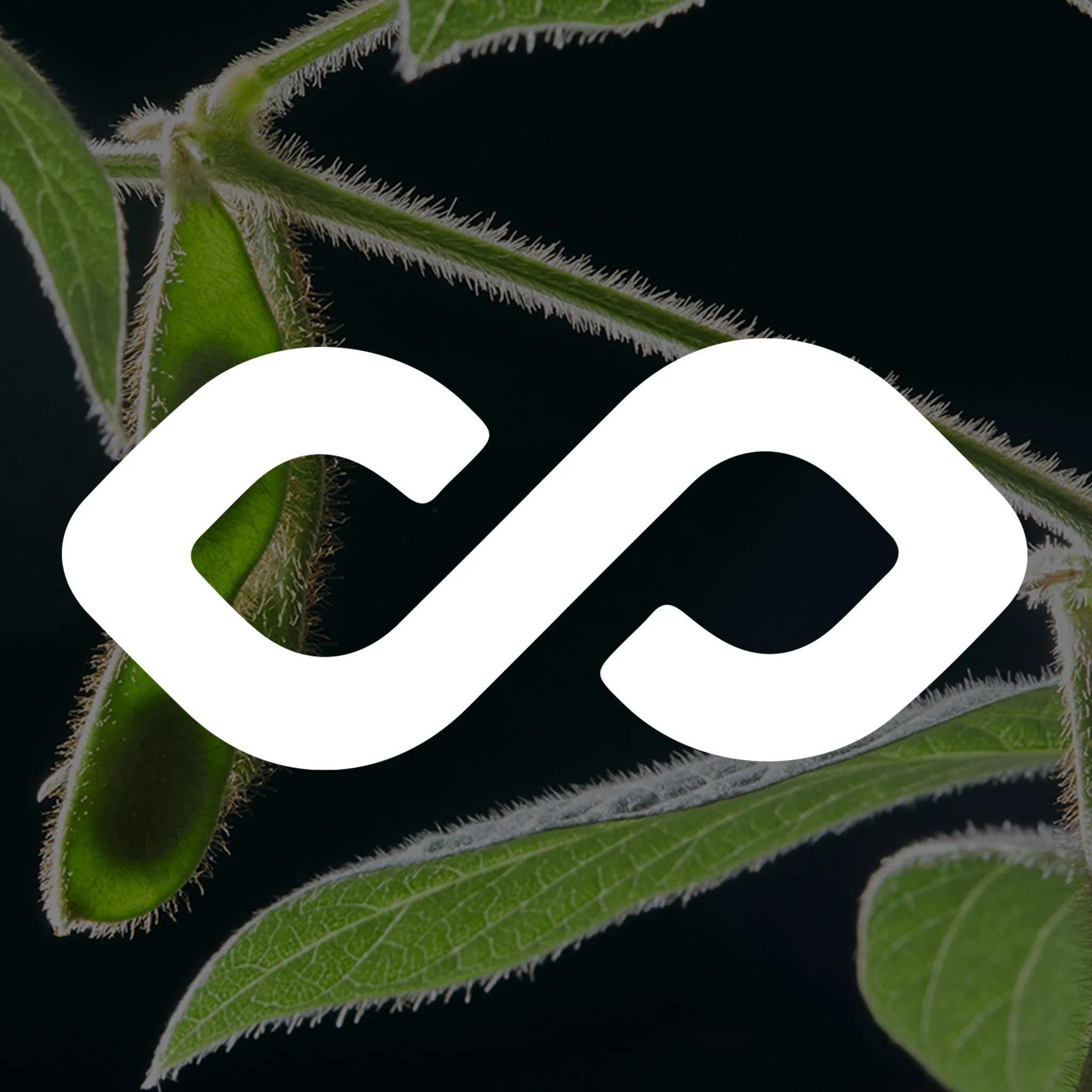 Protealis logo