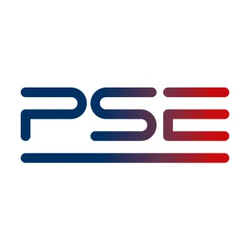 Polskie Sieci Elektroenergetyczne Logo