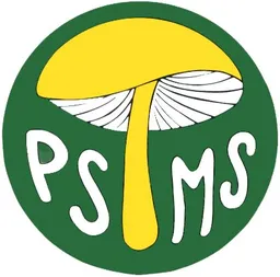 Psms Logo & Brand Assets (SVG, PNG and vector) - Brandfetch