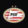 Logo PSV Museum