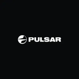 pulsarnv.com logo