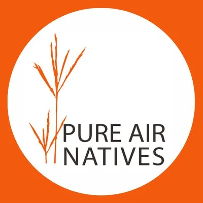 Pureairnatives
