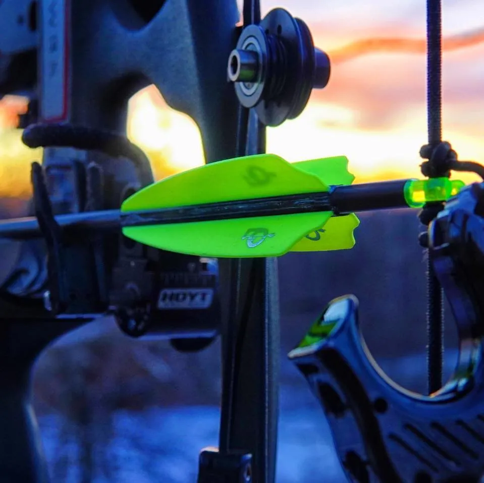 Q2iarchery