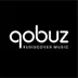 Qobuz US logo