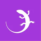 Quizgecko logo/icon