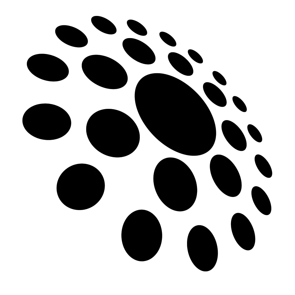 Raidious Logo