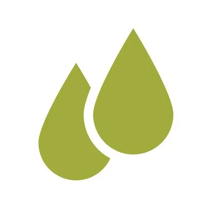 Rain Capital logo