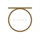 RAW INTERIORS logo