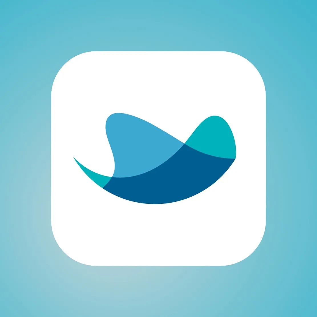 Raynet logo