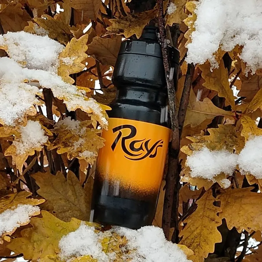 Raysbike