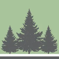 Raywiegandsnursery