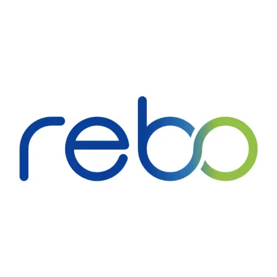 Rebo Lighting & Electronics, LLC logo