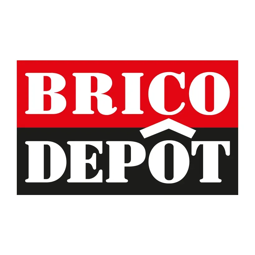 Logo BRICO DEPOT