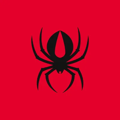Redback Boots