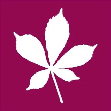 London Borough of Redbridge Logo