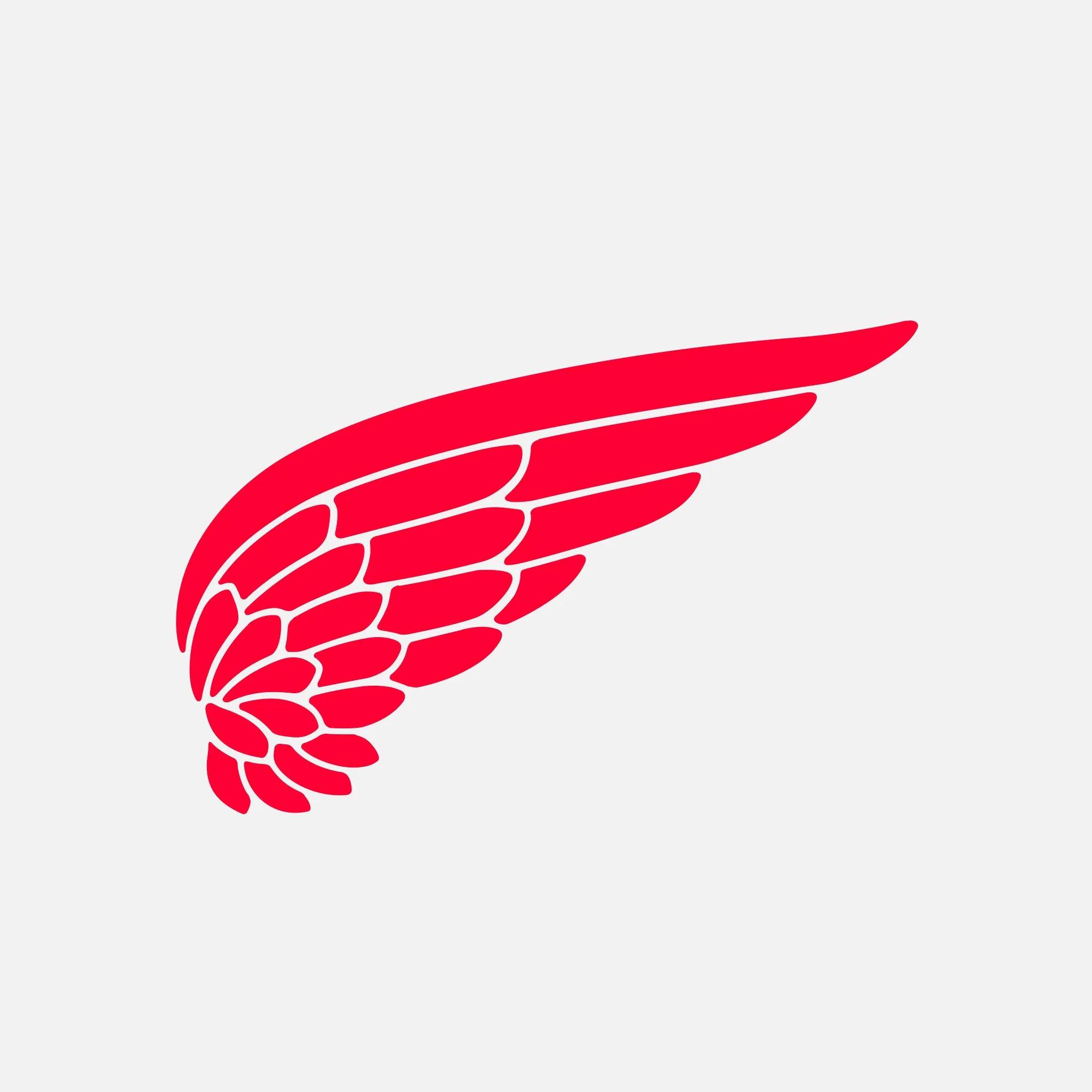 Red Wing Shoe Co logo