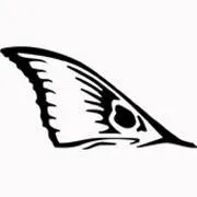 Reelspooledcharters